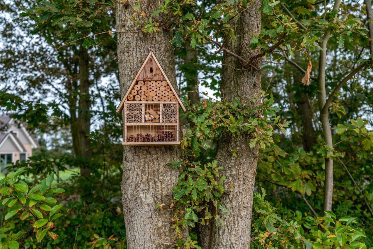 Vakantiewoning De Bleekersvallei De Koog  Eksteriør bilde